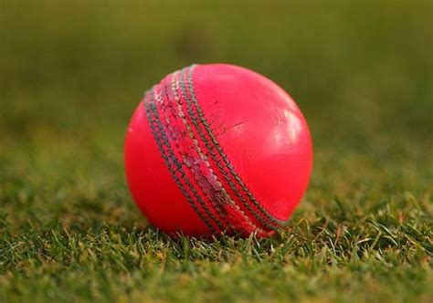 Critics Slam Use Of Pink Balls For Day Night Test Cricket News India Tv