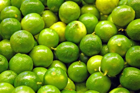 Listen to limes | soundcloud is an audio platform that lets you listen to what you love and share the sounds you 1 followers. Black Gold Growing Limes for Perfect Tequila Tasting ...