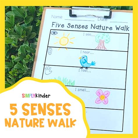 Five Senses Nature Walk Simply Kinder