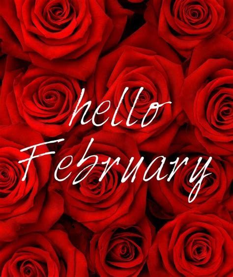 Red Rose February Quote Red Roses February February Quotes Hello