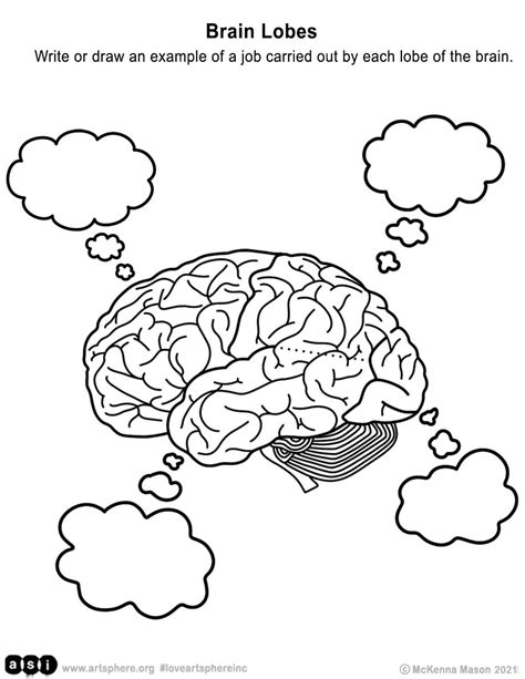 Brain Lobes Coloring Page