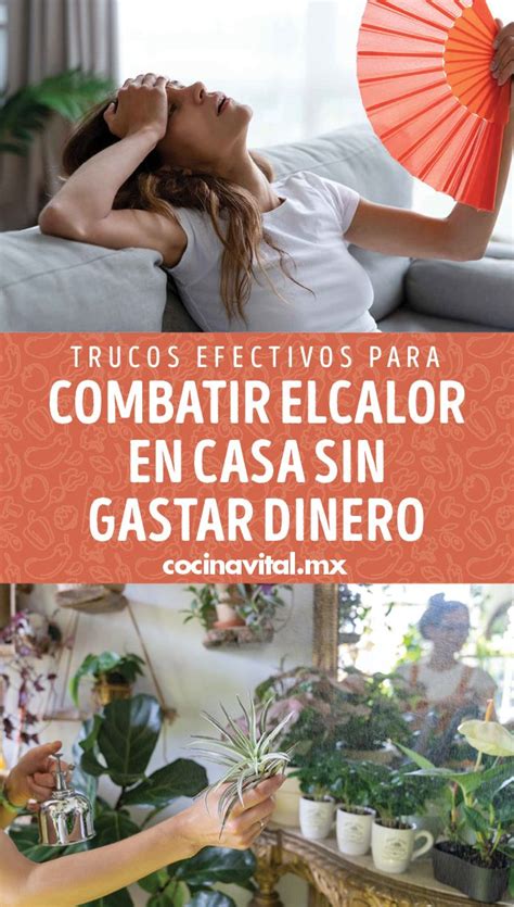 Trucos Efectivos Para Combatir El Calor En Casa Sin Gastar Dinero Calor Combate Recetas De