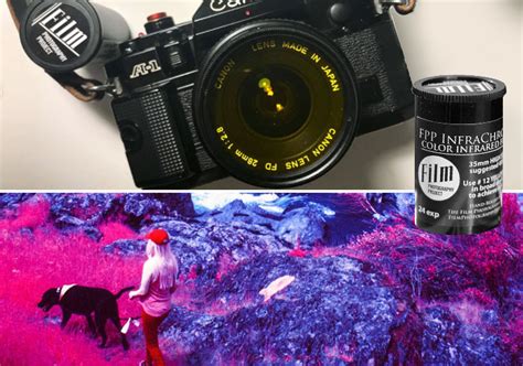 Infrared Film Photography Ir Film How To Tips And Filters The Darkroom