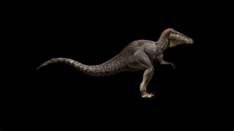 Velociraptor 3d Modeling Timelapse Youtube