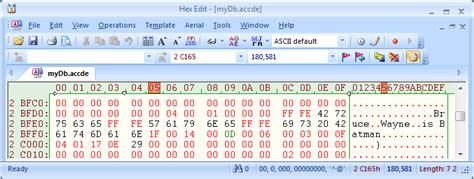 Can Data In The Access 2007 Accde File Format Be Viewed Outside Of