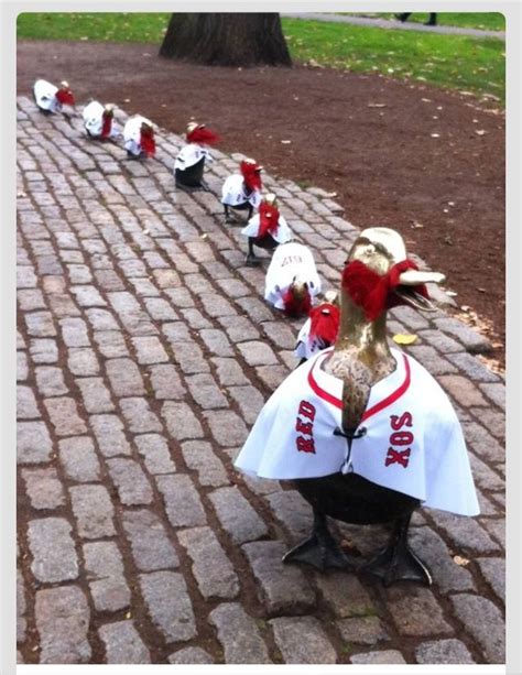 A Row Of Roosters Dressed In White And Red Shirts