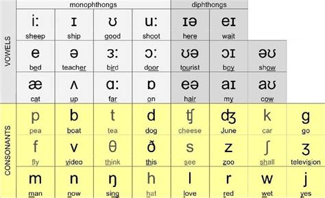 How The Phonetic Alphabet Will Help You Learn A Language Lingoda