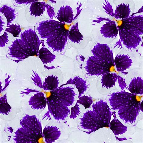 Texture Of A Seamless Flower Pattern Decorative Design Elements Stock