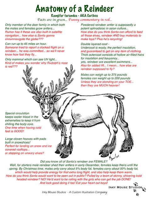 Humerous Holiday Outtake Combined With Some True Facts About Reindeer