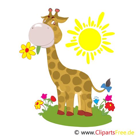 Cartoon Giraffe Illustration Clip Art Ecard Zoo