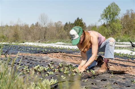 Rodale Institute Launches Course On Regenerative Agriculture Food Tank