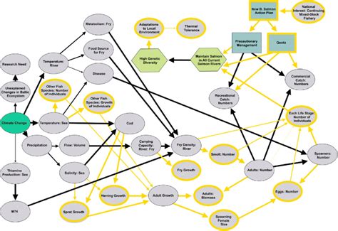 An Example Of One Stakeholders Influence Diagram After Direct