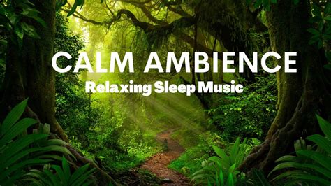Relaxing Music Meditation Music Sleeping Music Yoga Music Spa Music ☯001 I Soothing Wellness