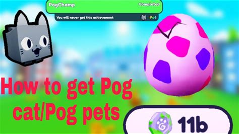 How To Get Pog Catpogchamp In Pet Simulator X Youtube