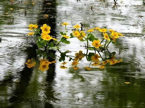 And scott hepper, a master designer. 1000+ images about RAIN DAYS on Pinterest | Good books ...