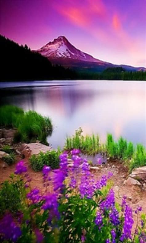 Majestic Mountain Lake Фотография природы Пейзажи Картины с