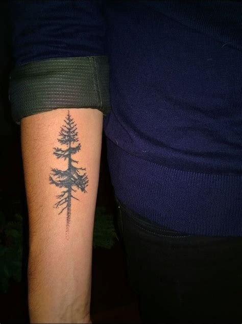 Douglas Fir Tree Tattoo Men Tattoos Pnw Tattoo
