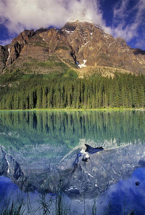 Chephren Lake And Mt Chephren Banff Photograph By Darwin Wiggett