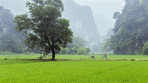 Daily Life In Vietnam Countryside Photograph By Hung Nguyen Long Pixels