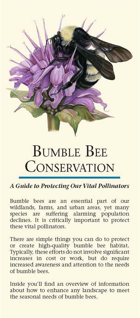 Bumble Bee Conservation Xerces Society