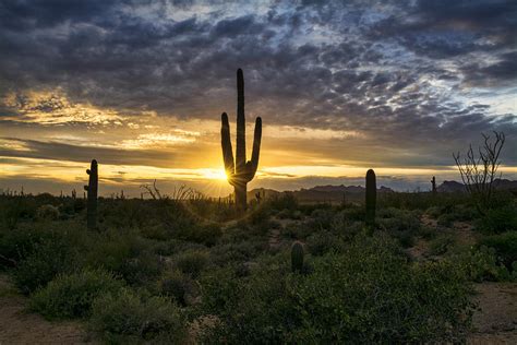 On The Sonoran Horizon Photograph By Saija Lehtonen Fine Art America
