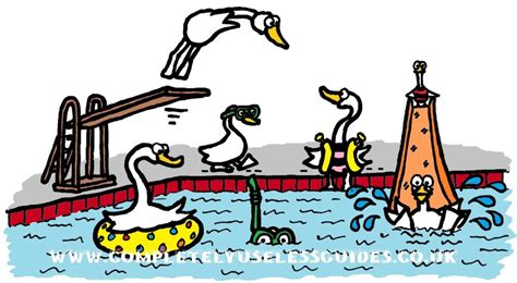 Seven Swans A Swimming Seven Swans Swimming Funny Holiday Humor