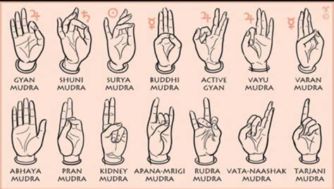 Mudra Miracles Types And Benefits Of Mudras For Healing Mudras