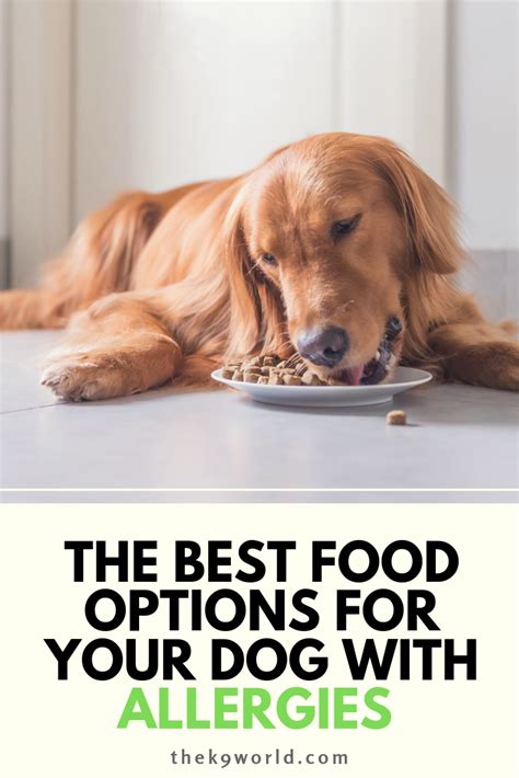 What you need to know is there are many reasons. If your dog has symptoms of allergies, your dog food might ...