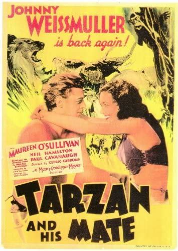 Amazon Tarzan And His Mate Movie Poster 11 X 17 Inches 28cm X