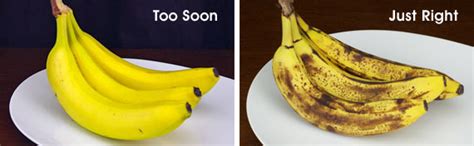 Check spelling or type a new query. Banana Bread... So Easy, It's Bananas! | Team Breakfast