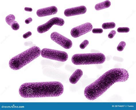 Bacillus Bacterias Royalty Free Illustration 28797666