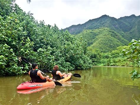 Best Oahu Kayak Tour And River Paddling Experience Near Laie Hi And Pcc