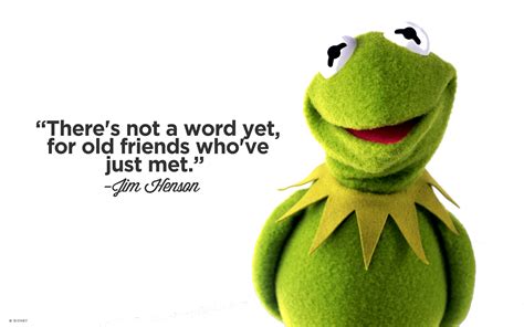 Kermit X Funny Quotes Quotesgram