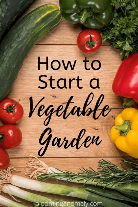 We did not find results for: How to Start a Vegetable Garden - Blooming Anomaly