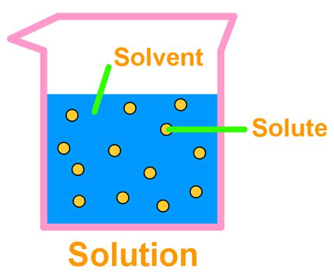 Introduction To Solution Chemistry And Solubility Studypug In 2022