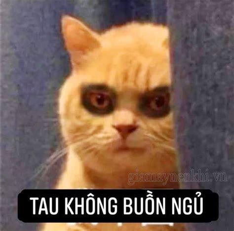 100 Ý Tưởng Meme Buồn Ngủ Chất Lượng Full Hd Wikipedia