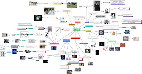 Top 87 Imagen Mapa Mental De Las Aplicaciones De La Biologia Viaterramx