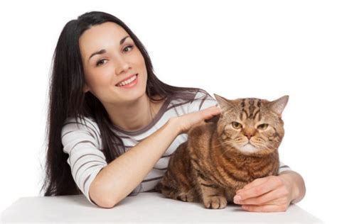 Beautiful Smiling Brunette Girl And Her Ginger Cat Over White Ba Stock Photo Image By