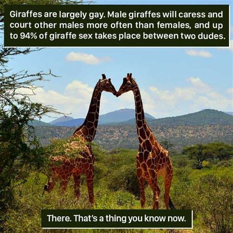 Weird Animal Facts That Will Change The Way You Look At Nature