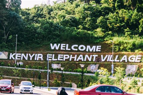 An innovative project to utilise laos' elephant experts in service of protecting the country's natural. Apa yang menarik di Kenyir Elephant Village?