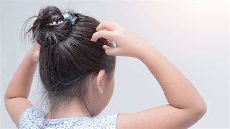 Signs And Symptoms Of Head Lice Entirely Health