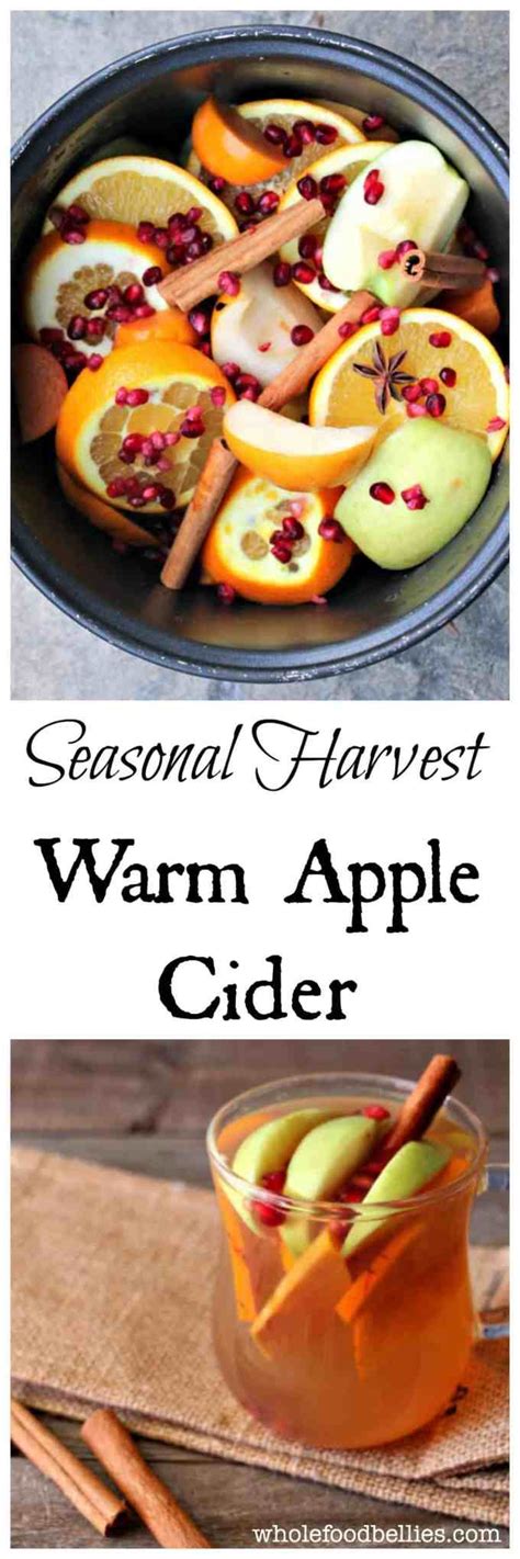 Homemade Fall Harvest Hot Apple Cider