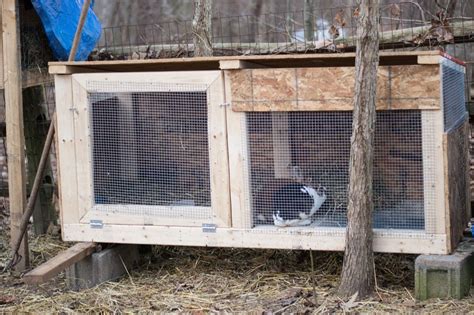 Preparing Your Rabbits For Winter Amy K Fewell Homesteading For The
