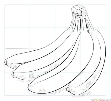 How To Draw A Bunch Of Bananas Step By Step Drawing Tutorials For Kids