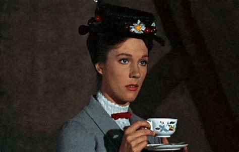 14 times mary poppins was the undisputed queen of sass mary poppins 1964 julie andrews mary