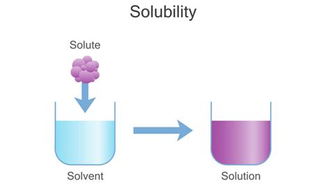Factors Influencing Solubility Solution Parmacy