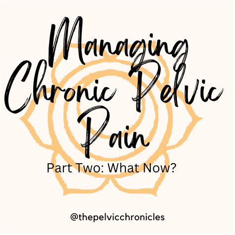 Managing Chronic Pelvic Pain Part 2 What Now Foundational Concepts