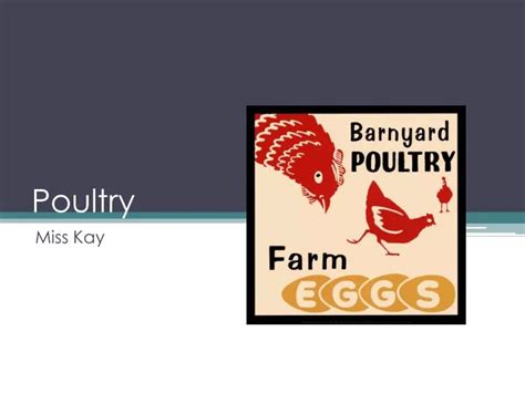 Ppt Poultry Powerpoint Presentation Free Download Id9415112
