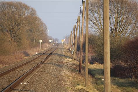 Free Images Tree Track Railway Morning Train Vehicle Seemed