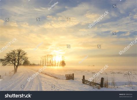 Beautiful Winter Landscape Sunset Fog Snow Stock Photo
